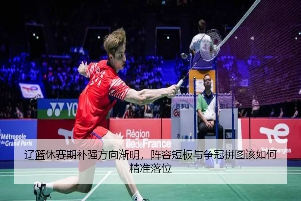 辽篮休赛期补强方向渐明，阵容短板与争冠拼图该如何精准落位